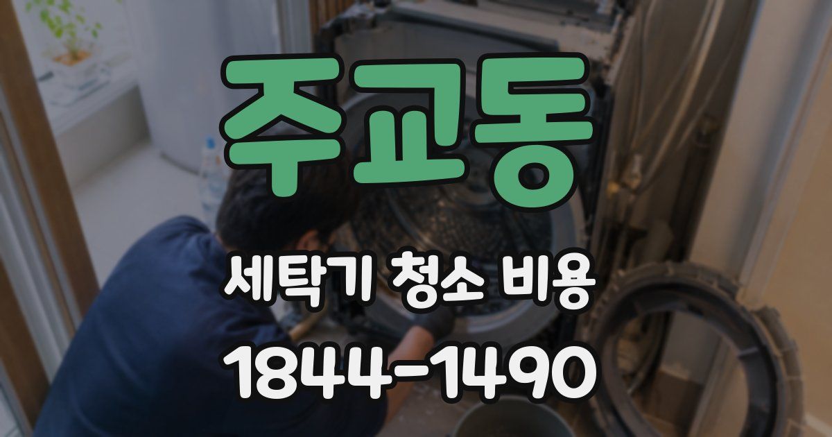 주교동 세탁기 청소 비용
