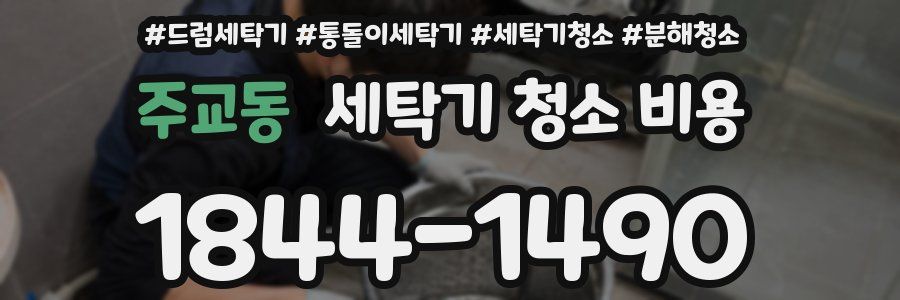 주교동 세탁기 청소 비용