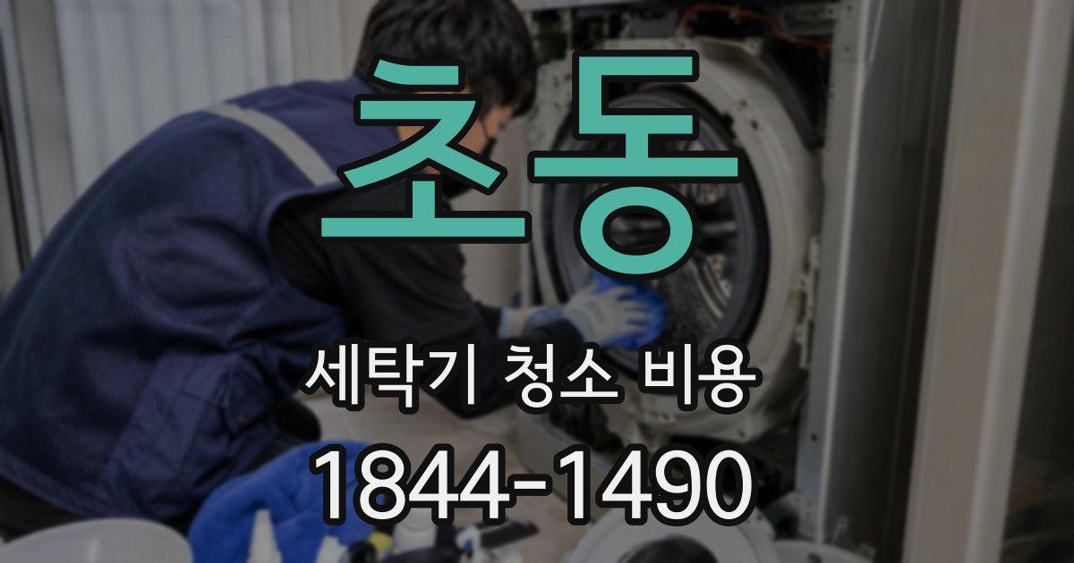 초동 세탁기 청소 비용