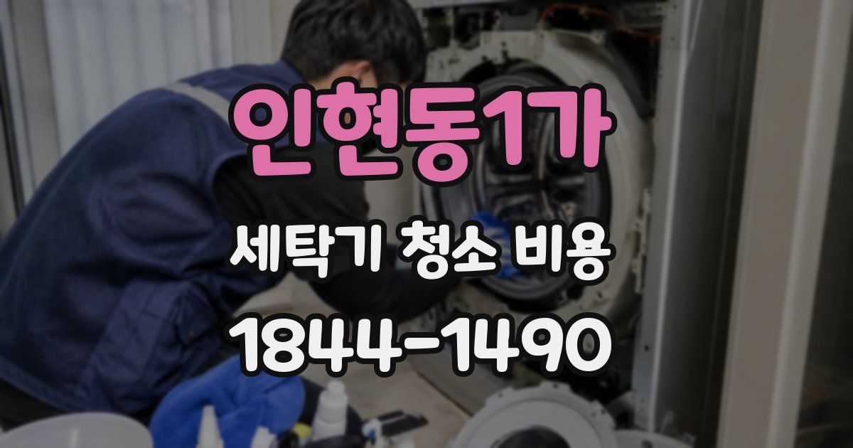 인현동1가 세탁기 청소 비용