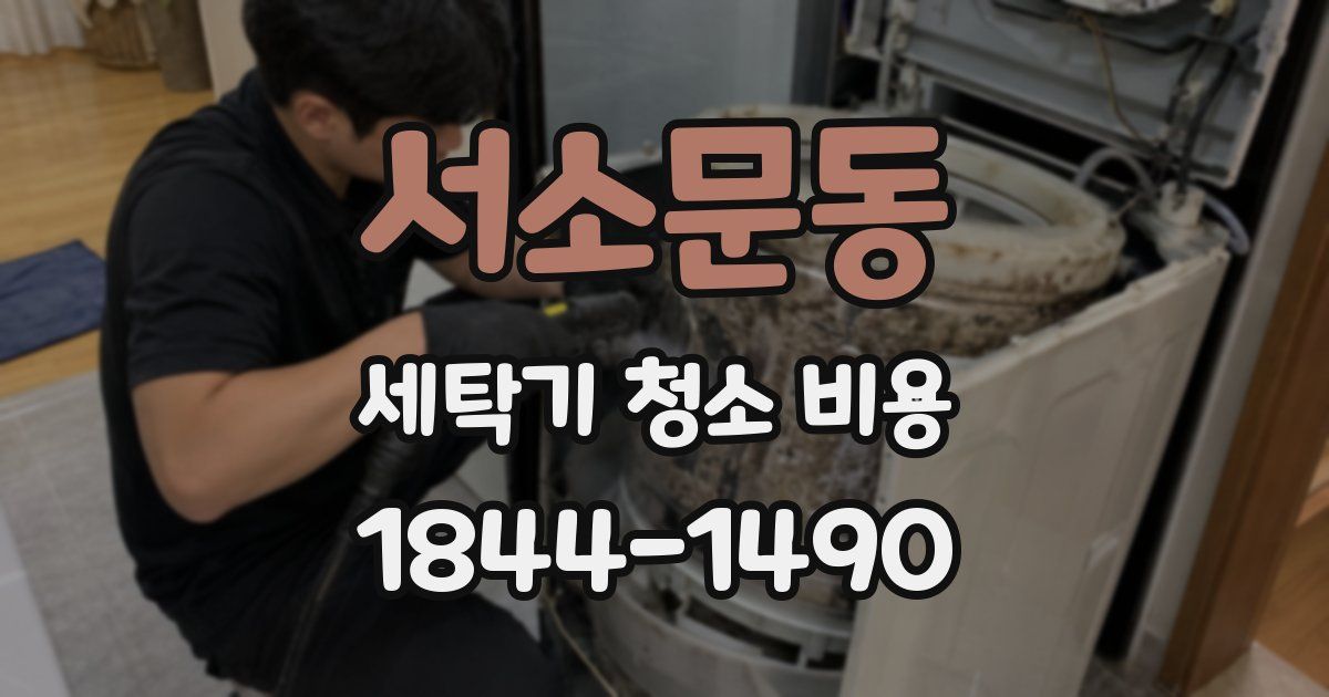 서소문동 세탁기 청소 비용
