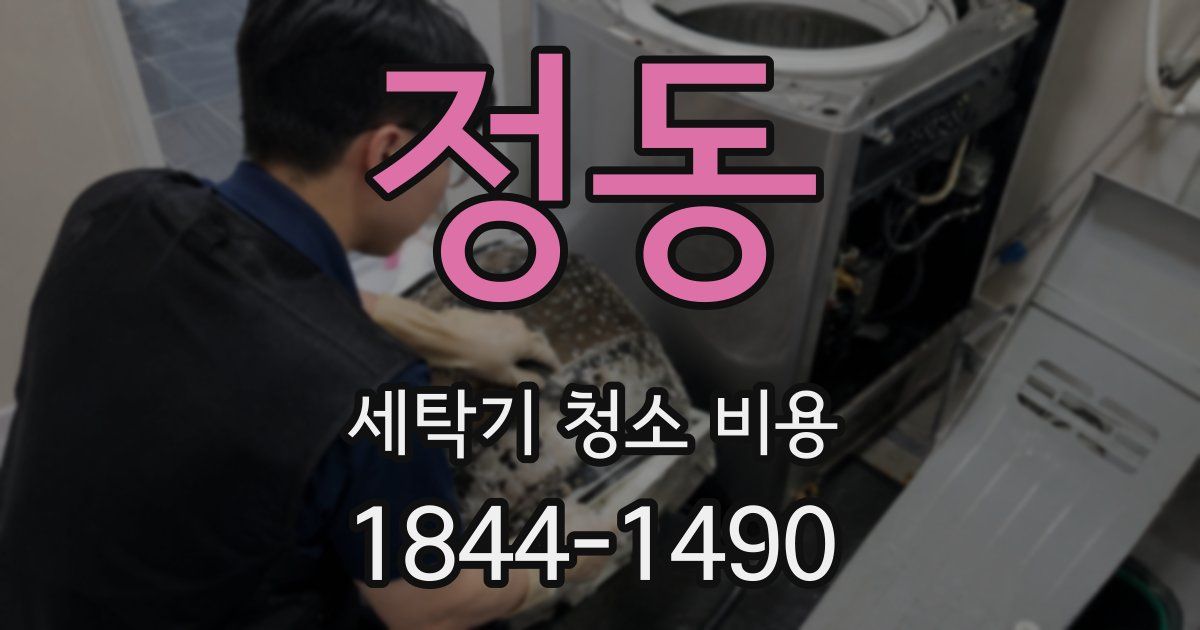 정동 세탁기 청소 비용
