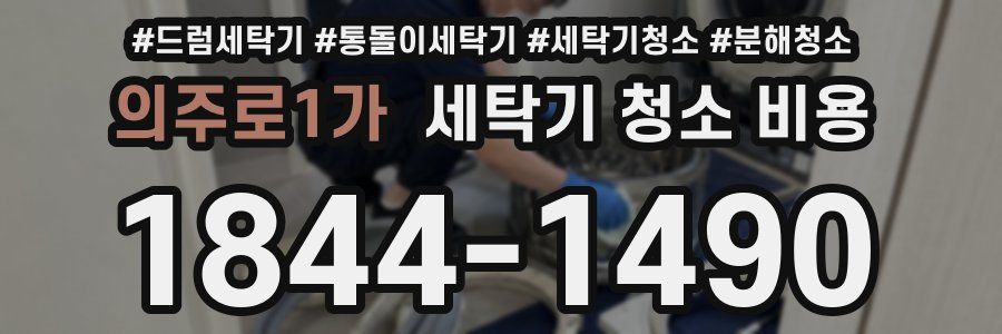 의주로1가 세탁기 청소 비용