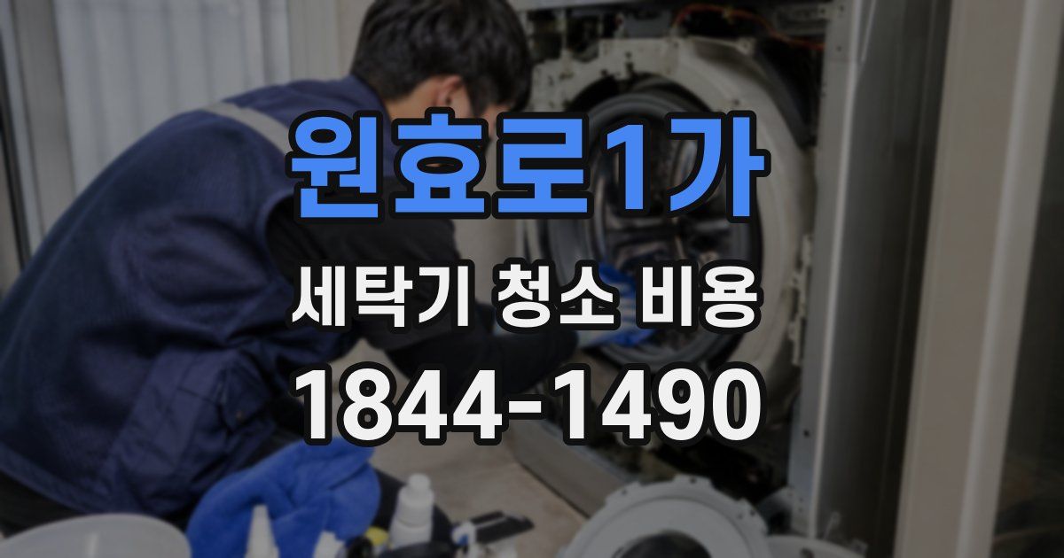 원효로1가 세탁기 청소 비용