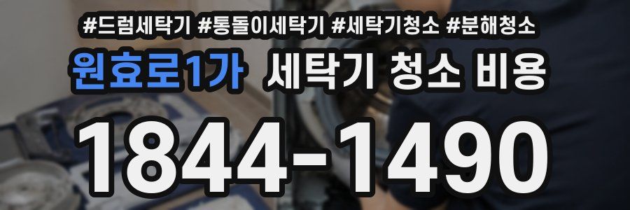 원효로1가 세탁기 청소 비용
