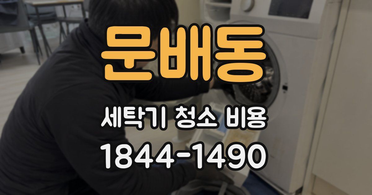 문배동 세탁기 청소 비용