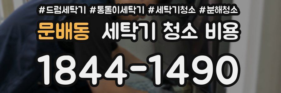 문배동 세탁기 청소 비용