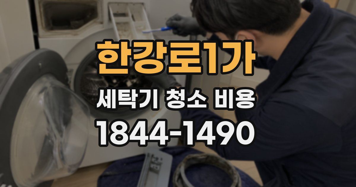 한강로1가 세탁기 청소 비용