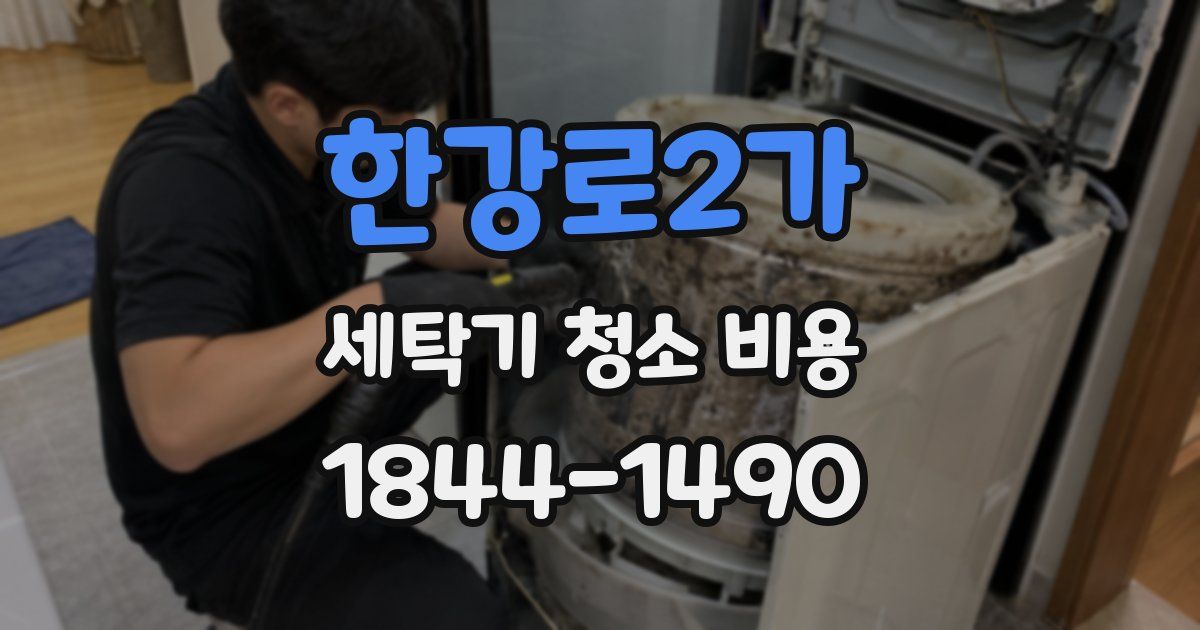 한강로2가 세탁기 청소 비용