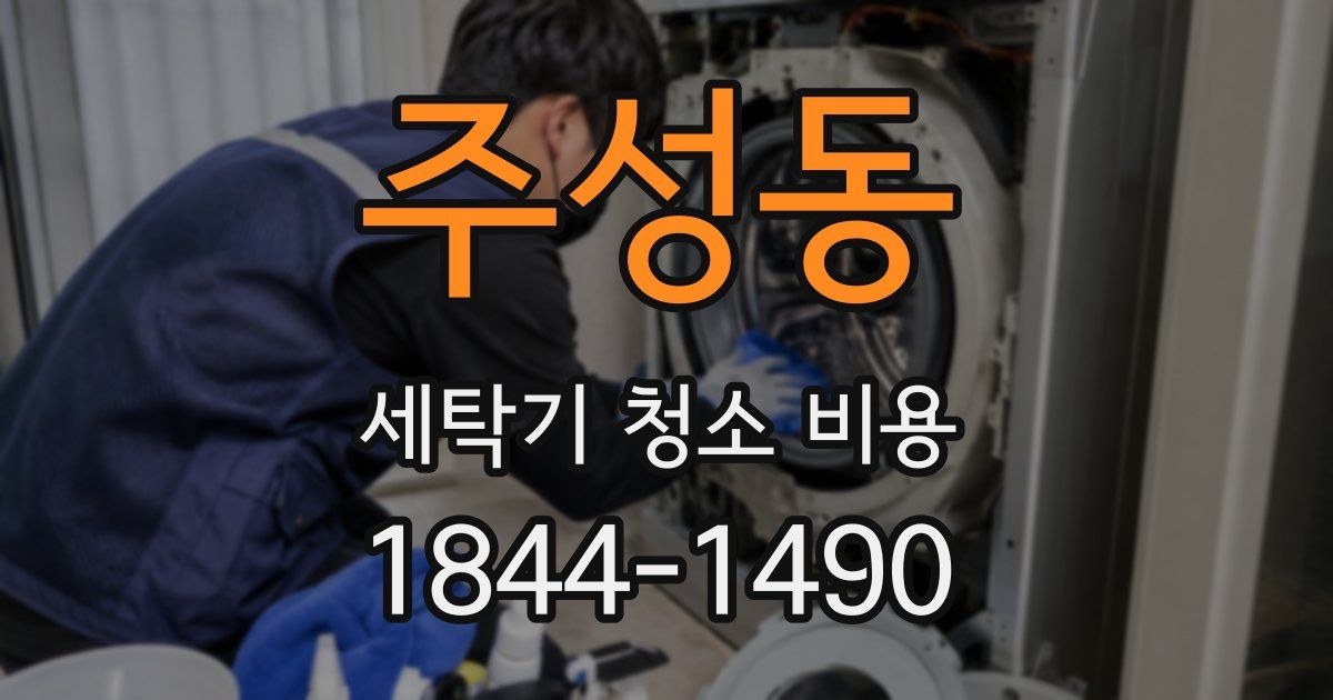주성동 세탁기 청소 비용