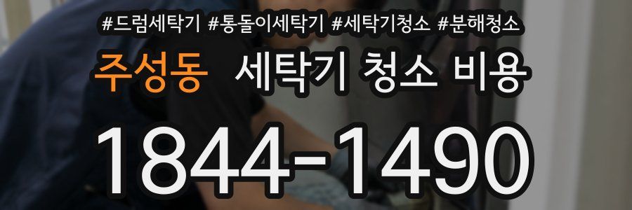 주성동 세탁기 청소 비용