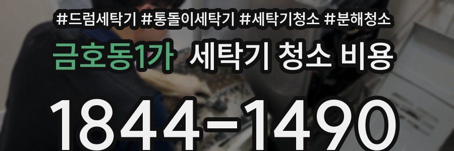 금호동1가 세탁기 청소 비용