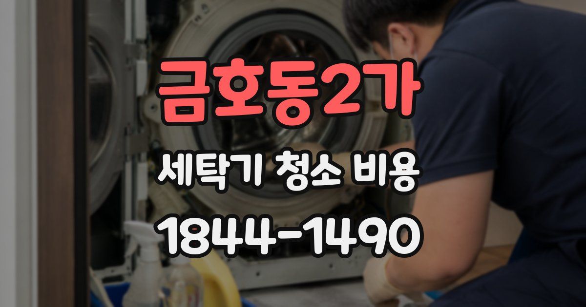 금호동2가 세탁기 청소 비용