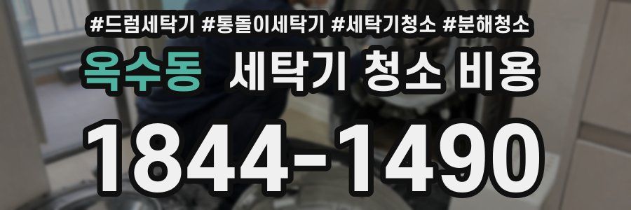 옥수동 세탁기 청소 비용