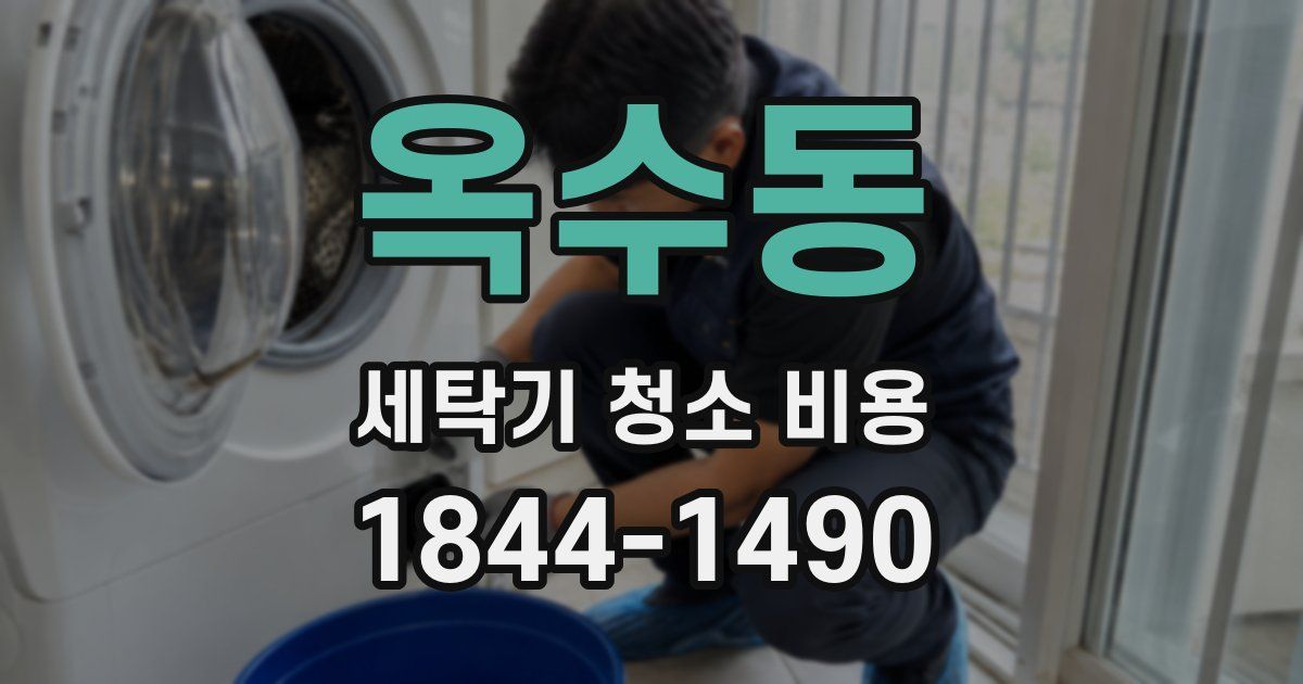 옥수동 세탁기 청소 비용