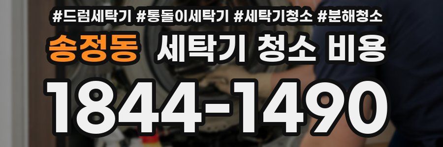 송정동 세탁기 청소 비용