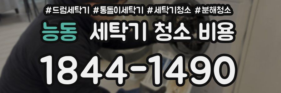 능동 세탁기 청소 비용