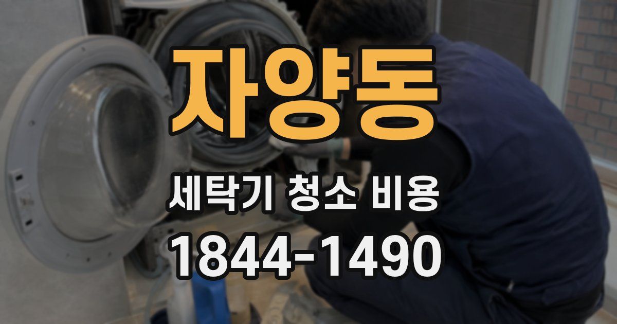 자양동 세탁기 청소 비용