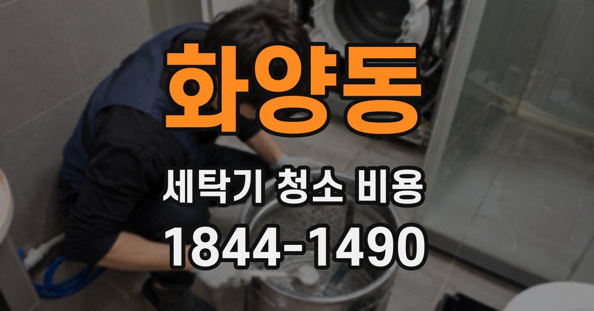 화양동 세탁기 청소 비용