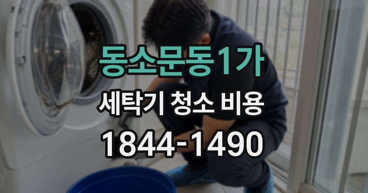 동소문동1가 세탁기 청소 비용