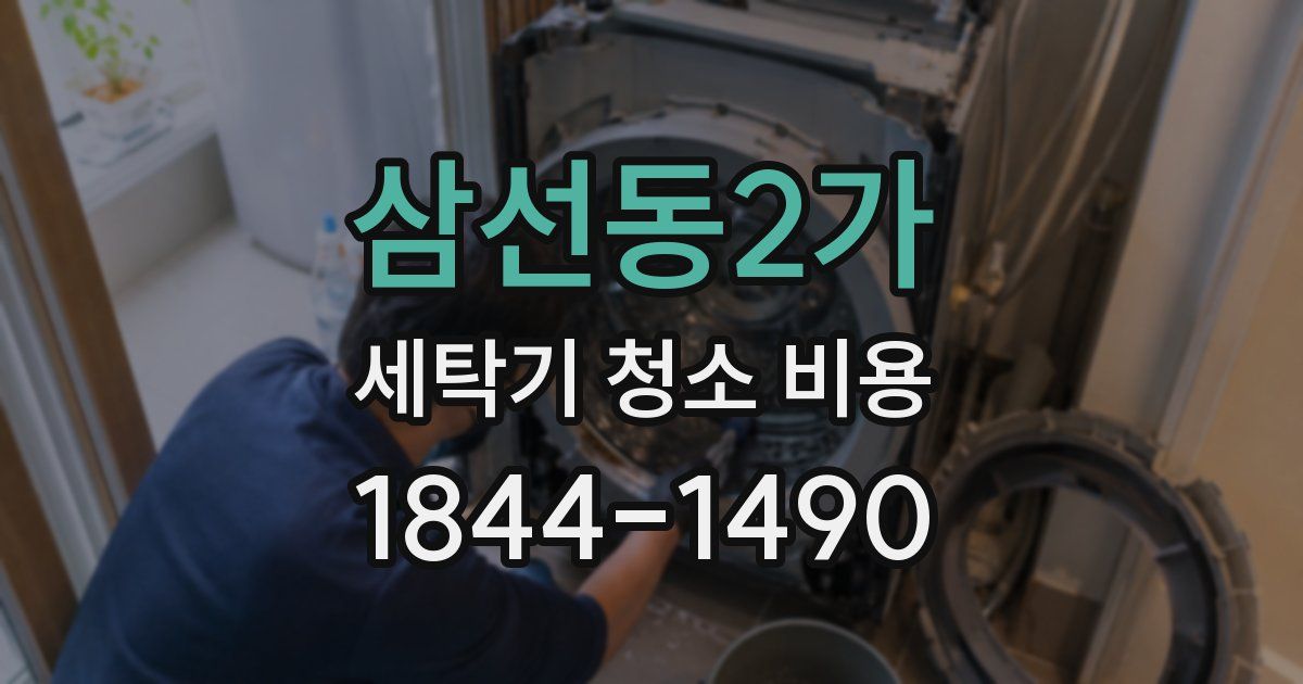 삼선동2가 세탁기 청소 비용