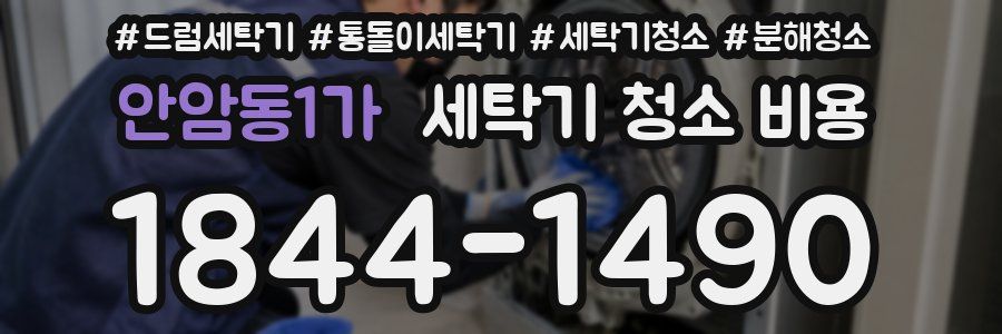 안암동1가 세탁기 청소 비용