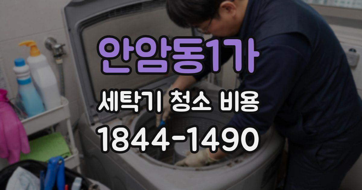 안암동1가 세탁기 청소 비용