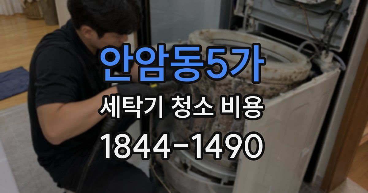안암동5가 세탁기 청소 비용