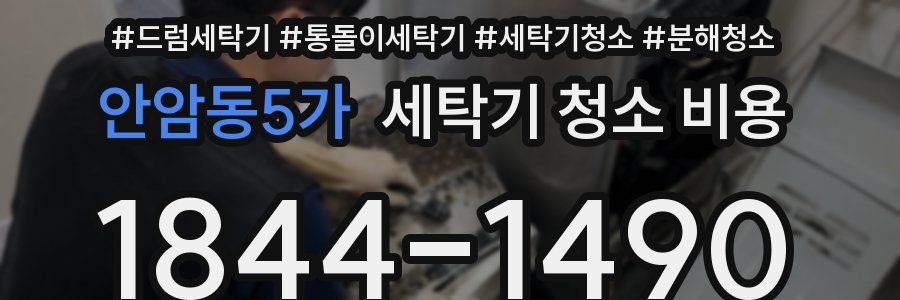 안암동5가 세탁기 청소 비용