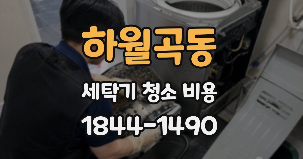 하월곡동 세탁기 청소 비용