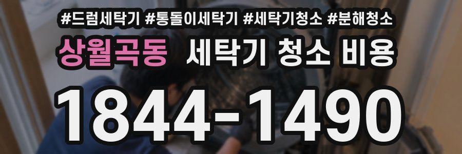 상월곡동 세탁기 청소 비용