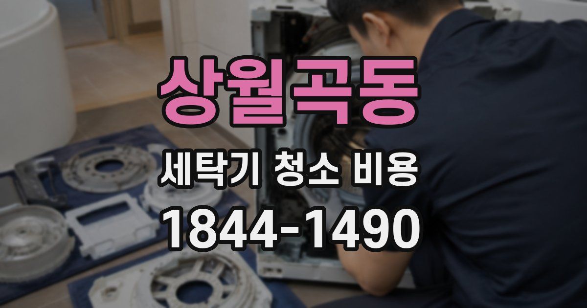 상월곡동 세탁기 청소 비용