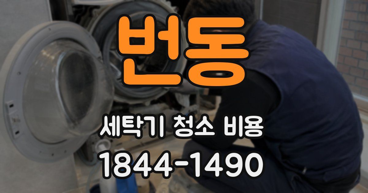 번동 세탁기 청소 비용