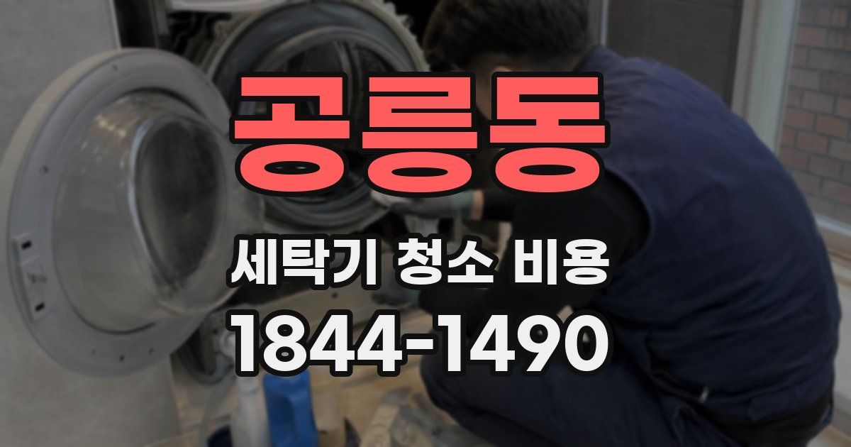 공릉동 세탁기 청소 비용