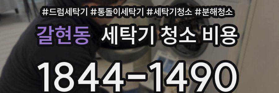 갈현동 세탁기 청소 비용