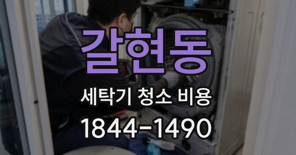 갈현동 세탁기 청소 비용