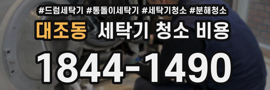 대조동 세탁기 청소 비용