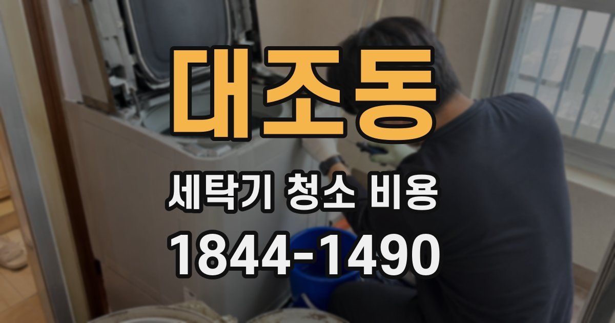 대조동 세탁기 청소 비용