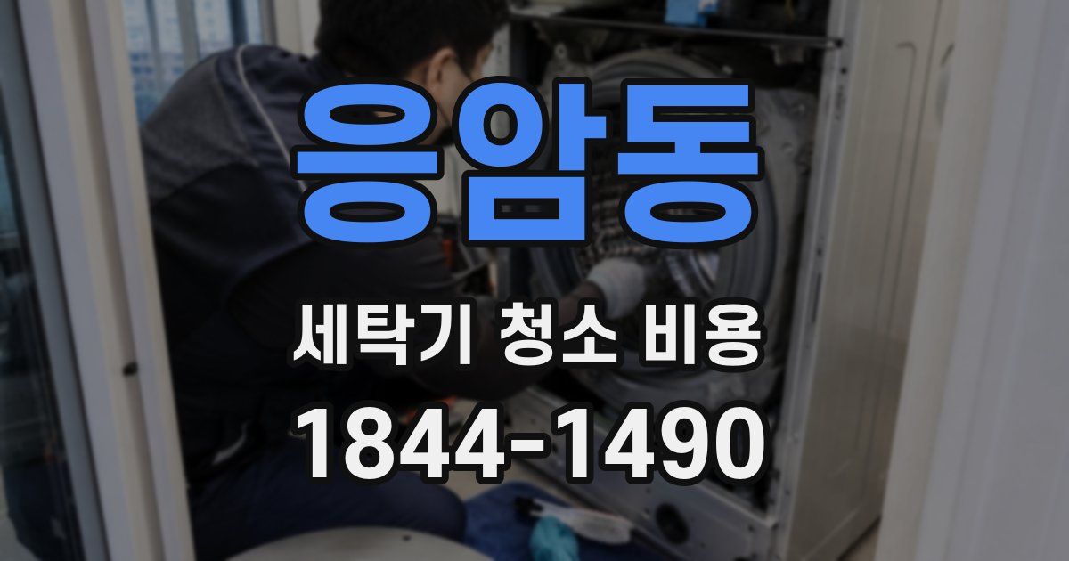 응암동 세탁기 청소 비용
