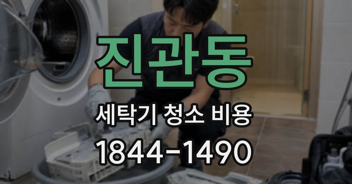 진관동 세탁기 청소 비용