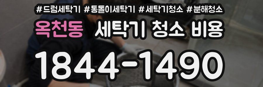옥천동 세탁기 청소 비용