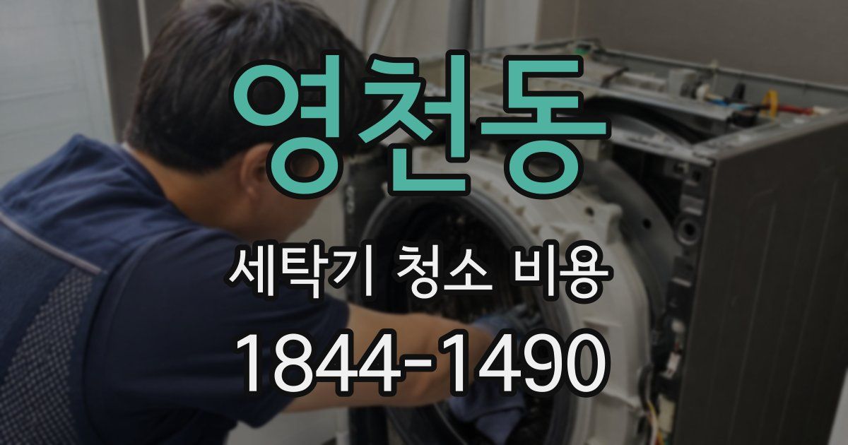 영천동 세탁기 청소 비용