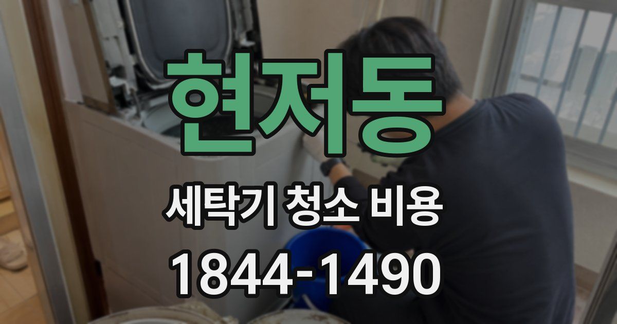현저동 세탁기 청소 비용