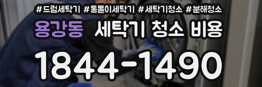 용강동 세탁기 청소 비용