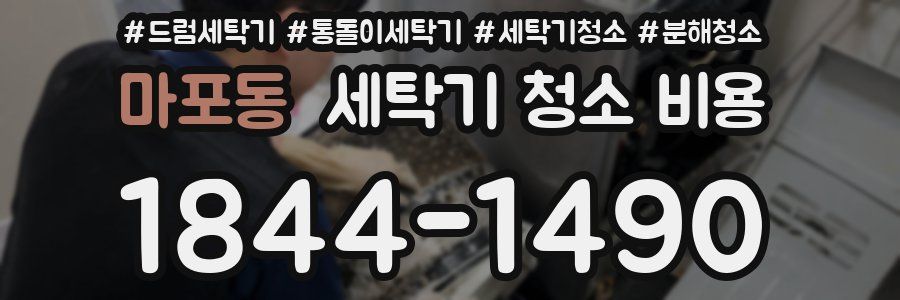 마포동 세탁기 청소 비용
