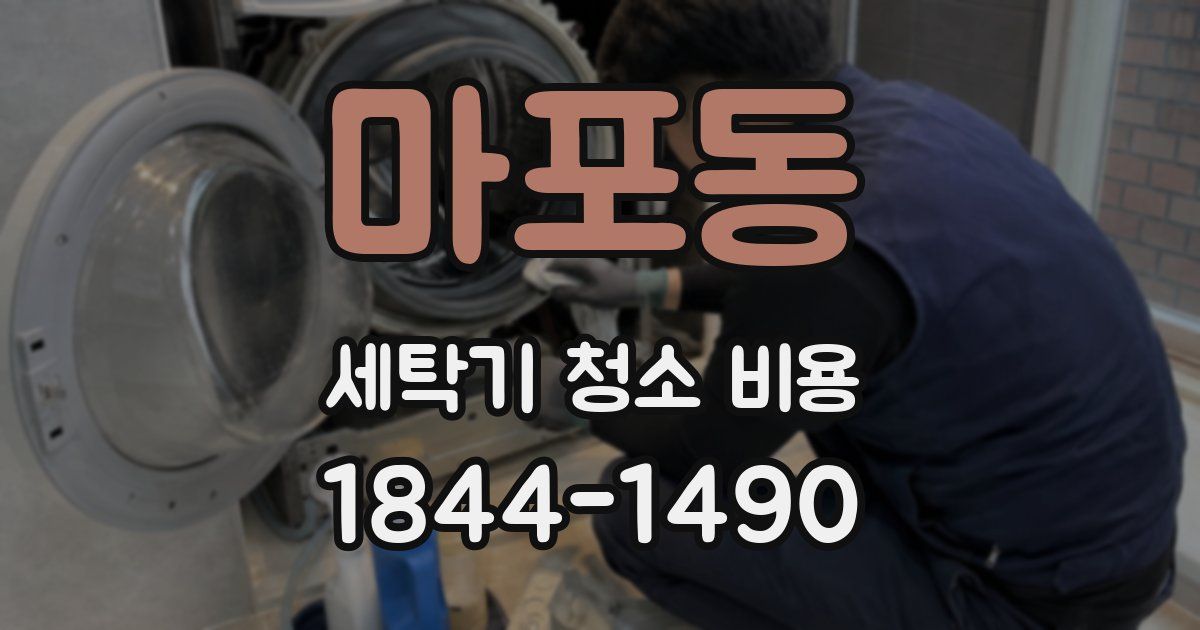 마포동 세탁기 청소 비용