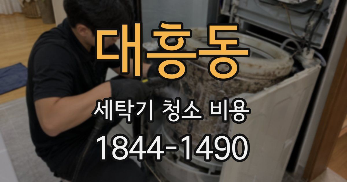 대흥동 세탁기 청소 비용