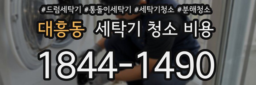 대흥동 세탁기 청소 비용