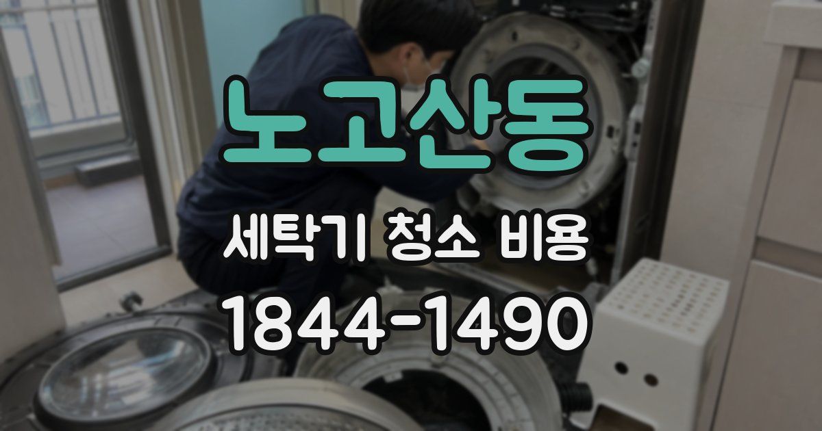 노고산동 세탁기 청소 비용