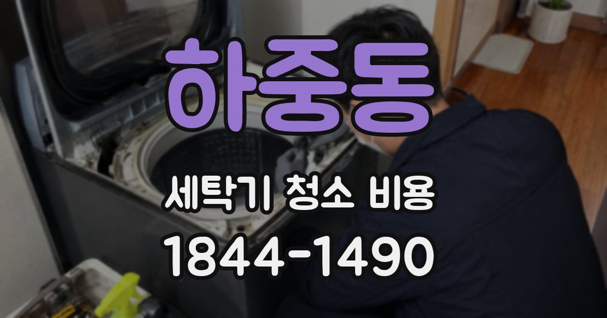 하중동 세탁기 청소 비용